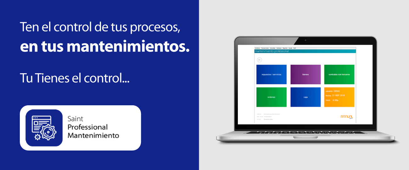 Saint Annual Professional Mantenimiento