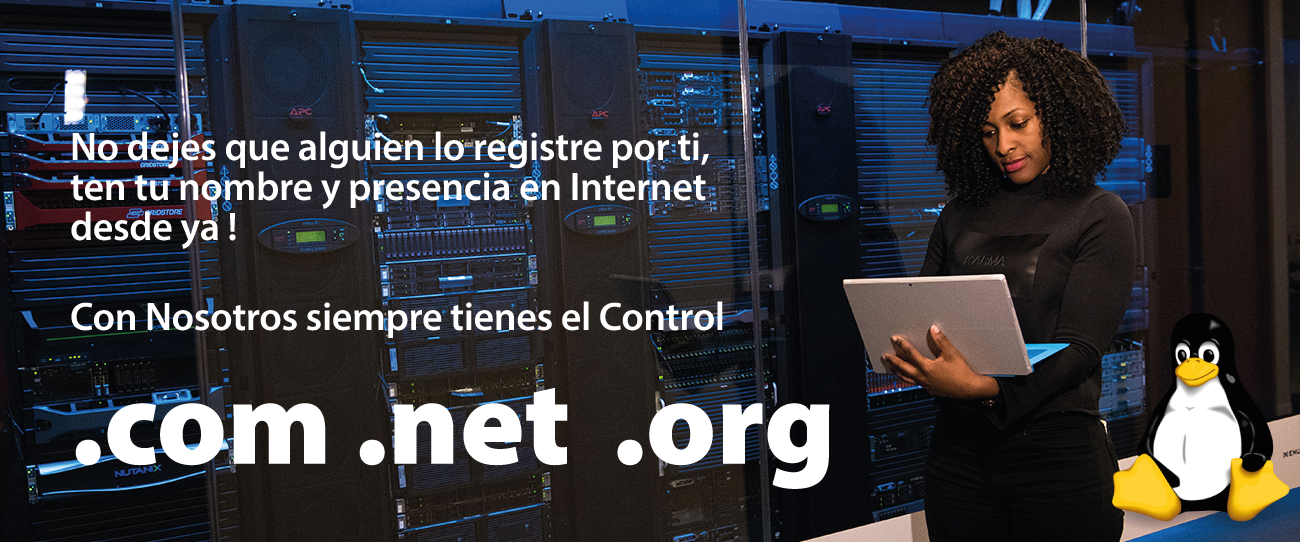 Dominios Web