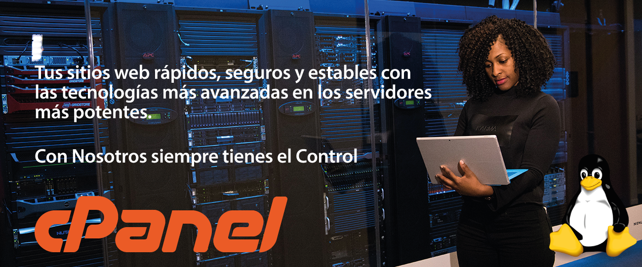 Hospedaje Web